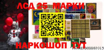 индика Мариинск