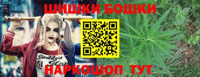 индика Мариинск